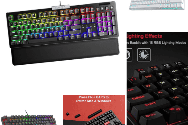 RGB 50 dollar mechanical keyboard perfect for budget users in 2025