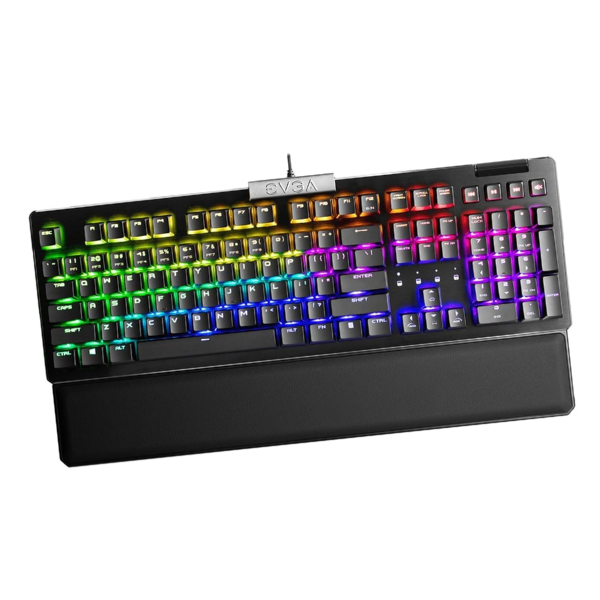 RGB 50 dollar mechanical keyboard perfect for budget users in 2025