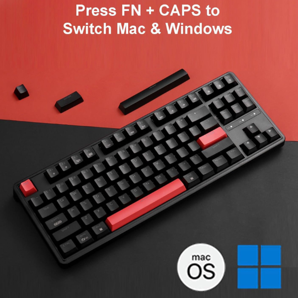 RGB 50 dollar mechanical keyboard perfect for budget users in 2025