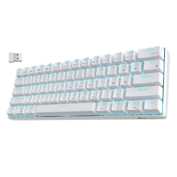 RGB 50 dollar mechanical keyboard perfect for budget users in 2025