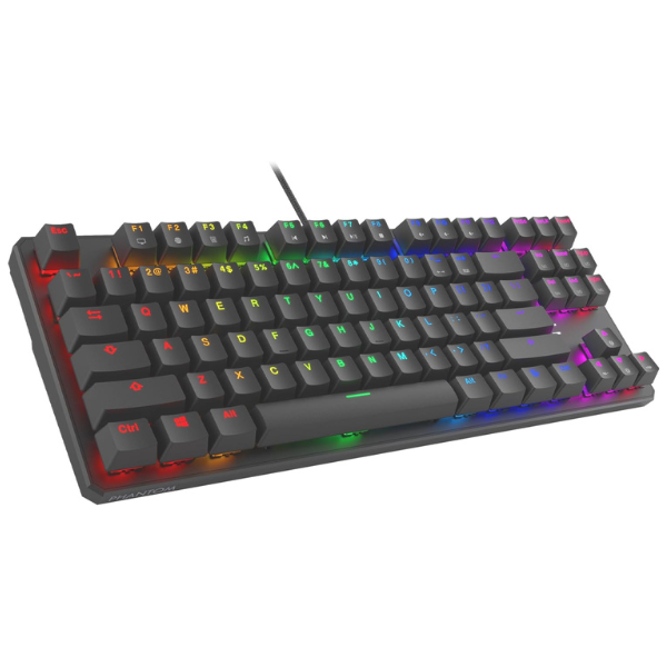 RGB 50 dollar mechanical keyboard perfect for budget users in 2025