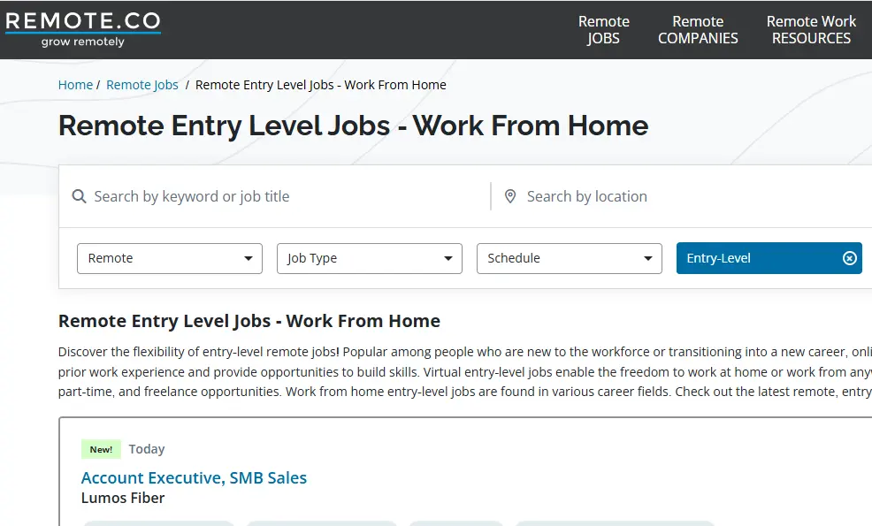 5 Best Work From Home Websites 